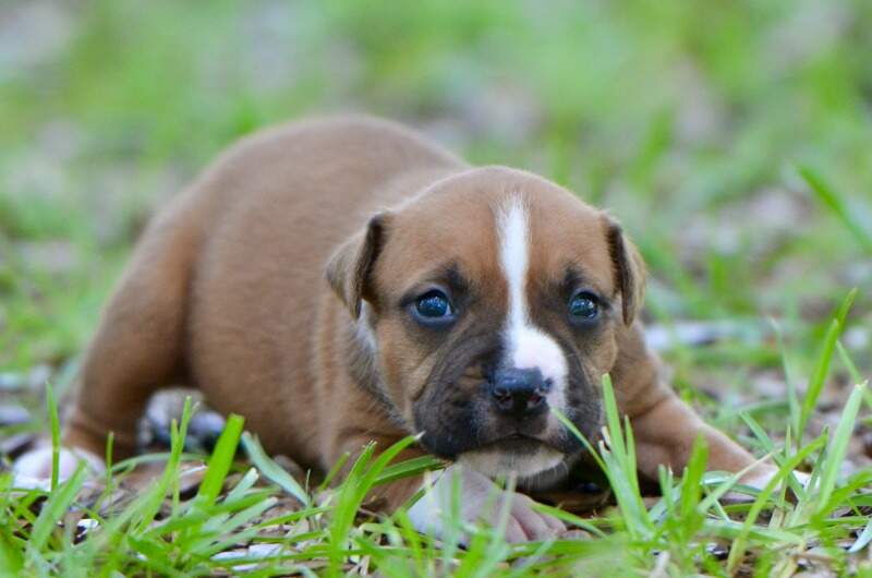 3 weeks