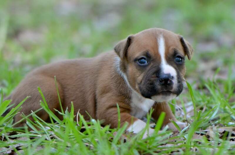 3 weeks