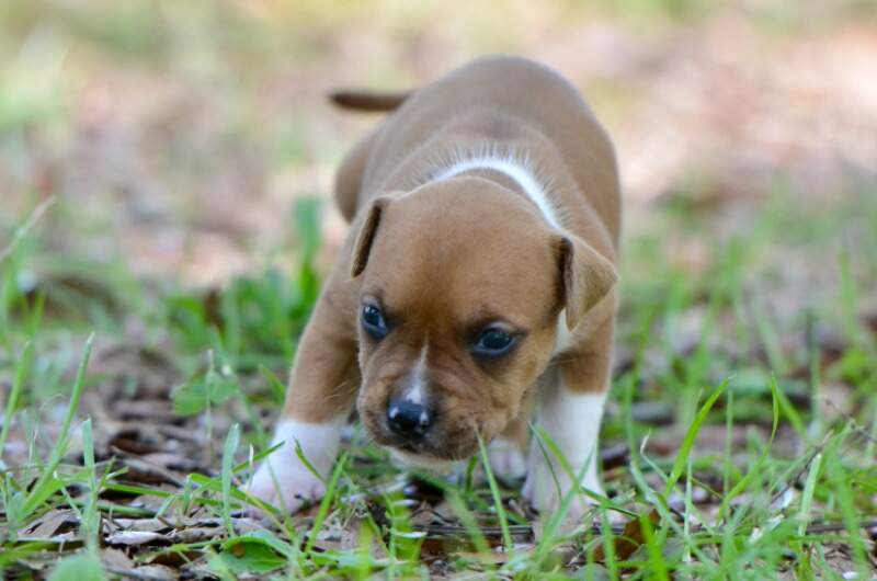 3 weeks