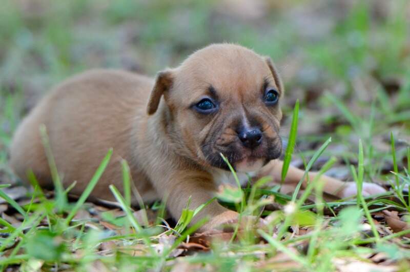 3 weeks