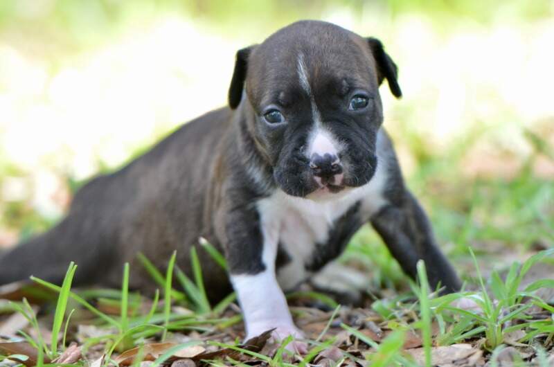 3 weeks