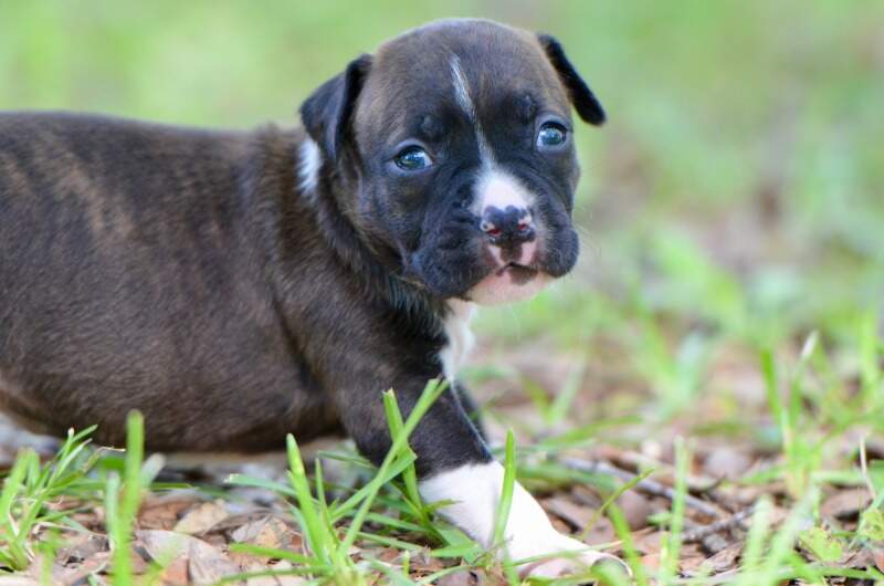 3 weeks