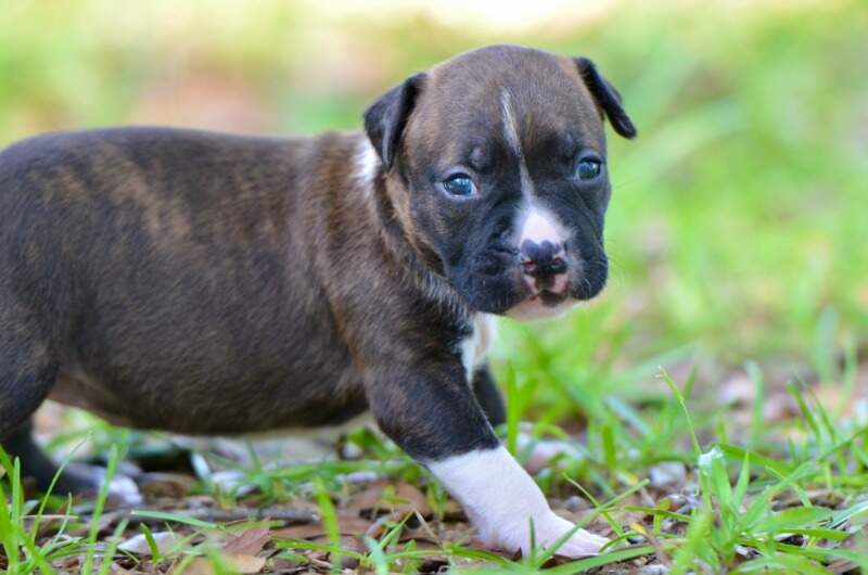 3 weeks