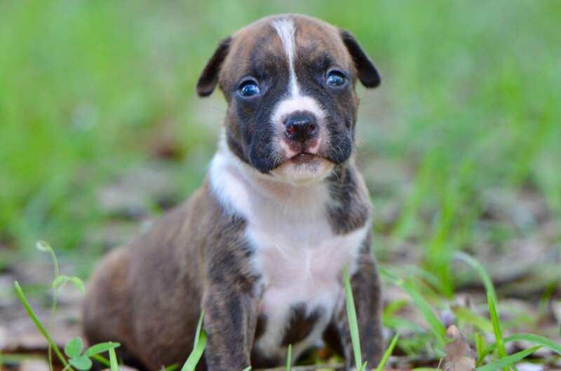 3 weeks