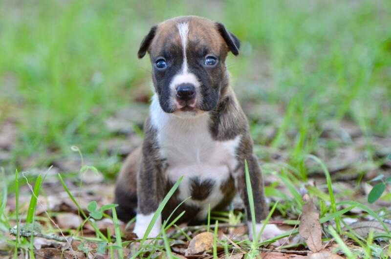 3 weeks
