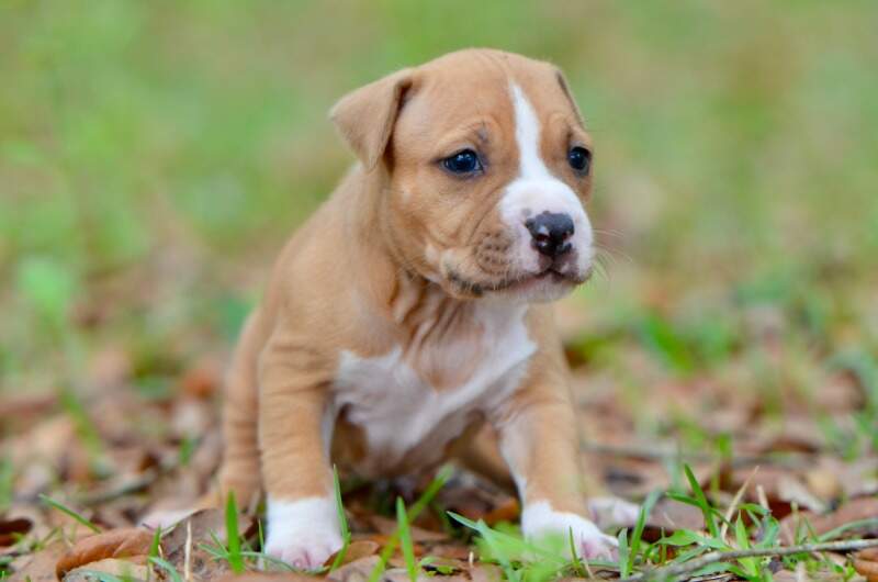 4 weeks