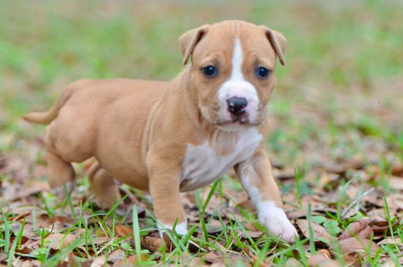 4 weeks