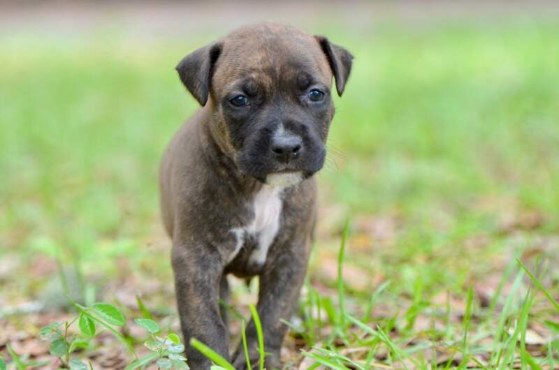 4 weeks
