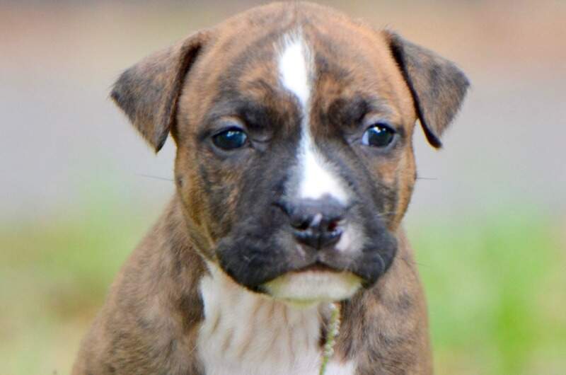 4 weeks