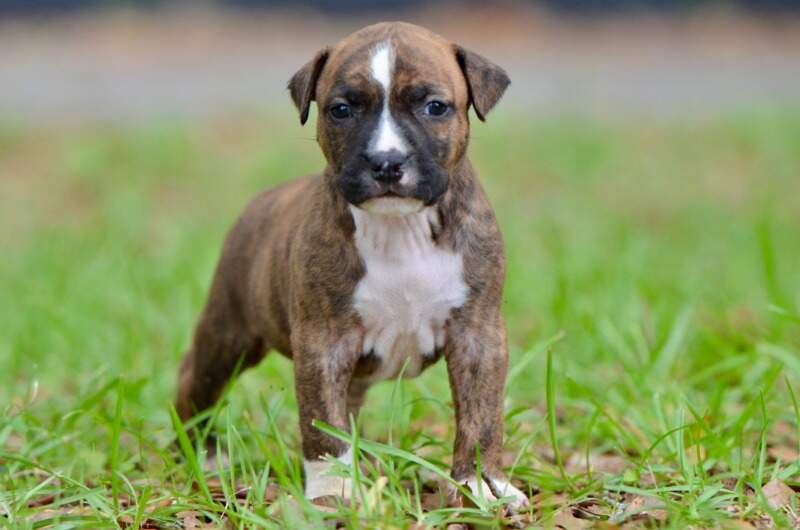 4 weeks