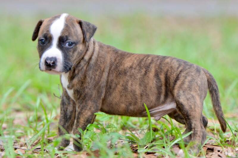 4 weeks