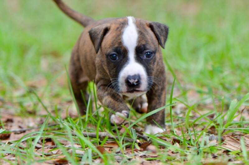 4 weeks