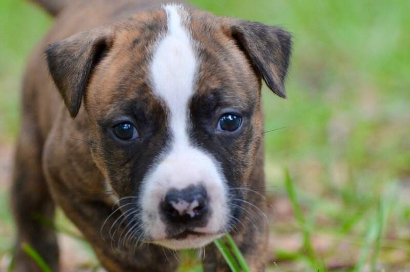 4 weeks