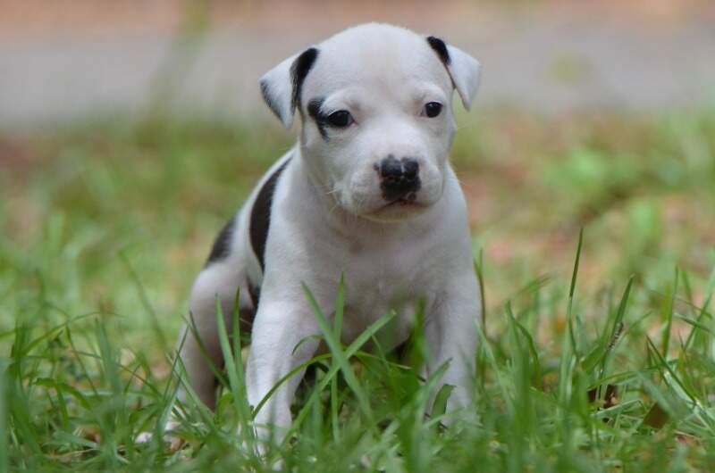 4 weeks