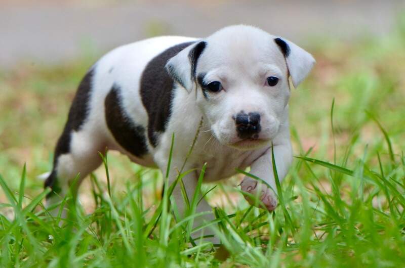 4 weeks