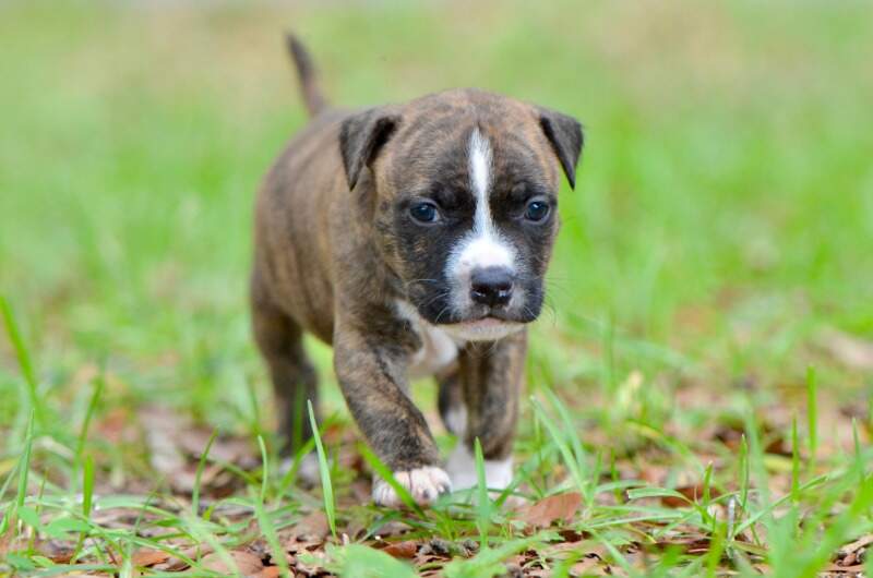 4 weeks