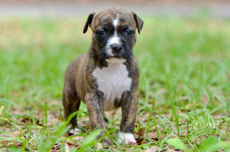 4 weeks