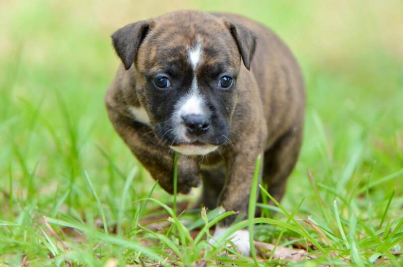 4 weeks