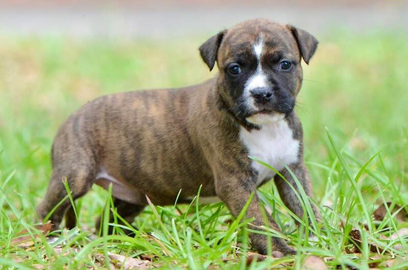 4 weeks