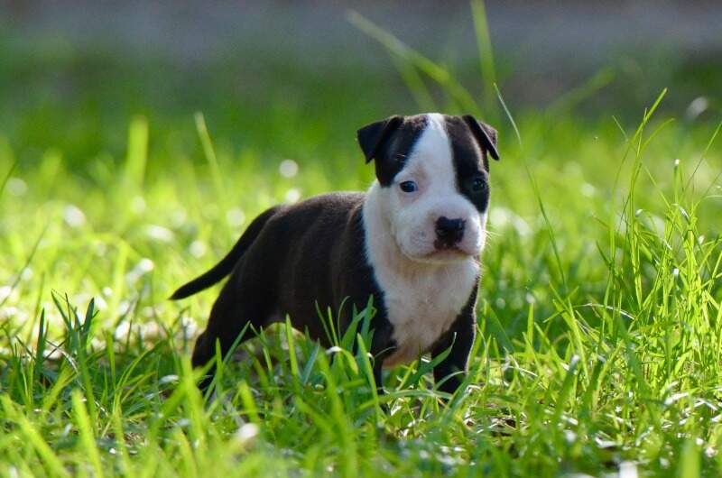 5 weeks