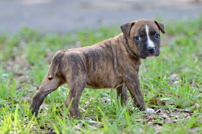 5 weeks