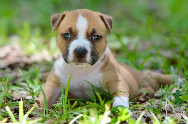 4 weeks