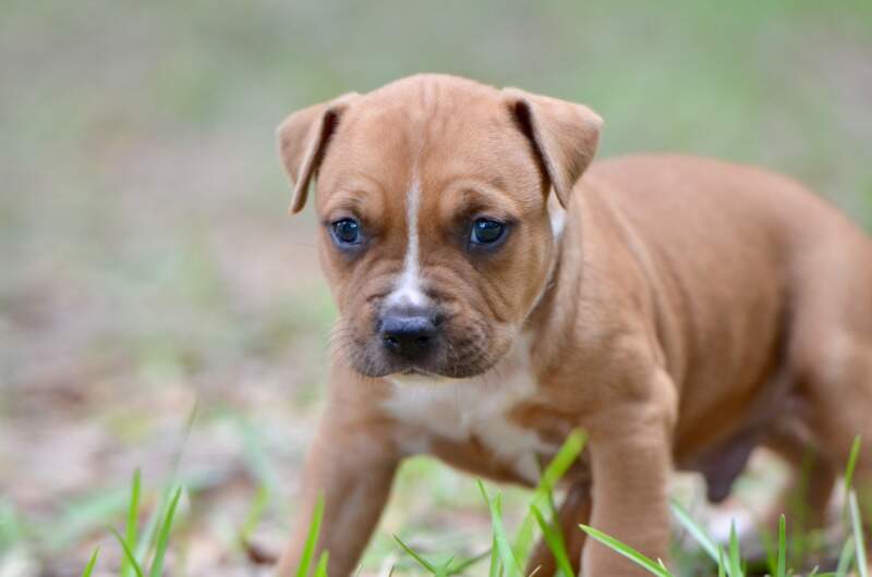 4 weeks