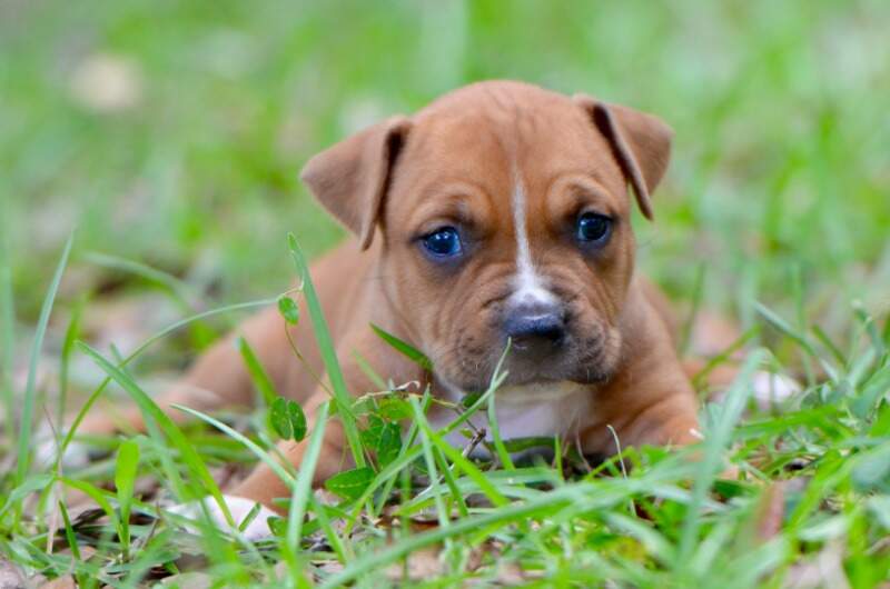 4 weeks