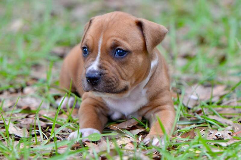 4 weeks