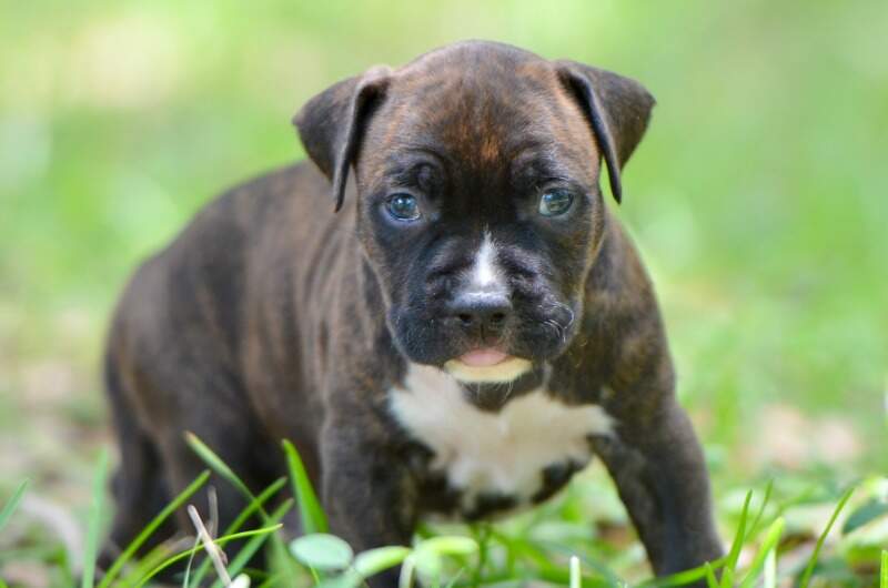 4 weeks