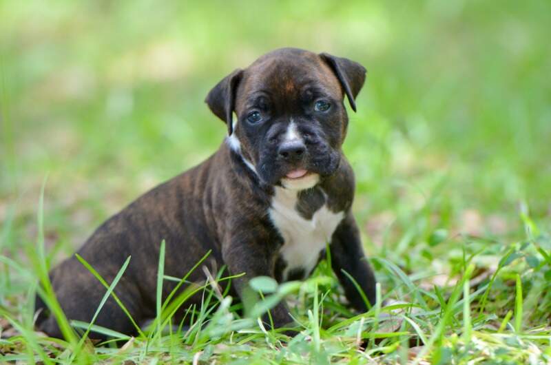 4 weeks