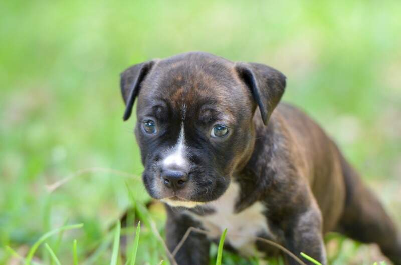 4 weeks