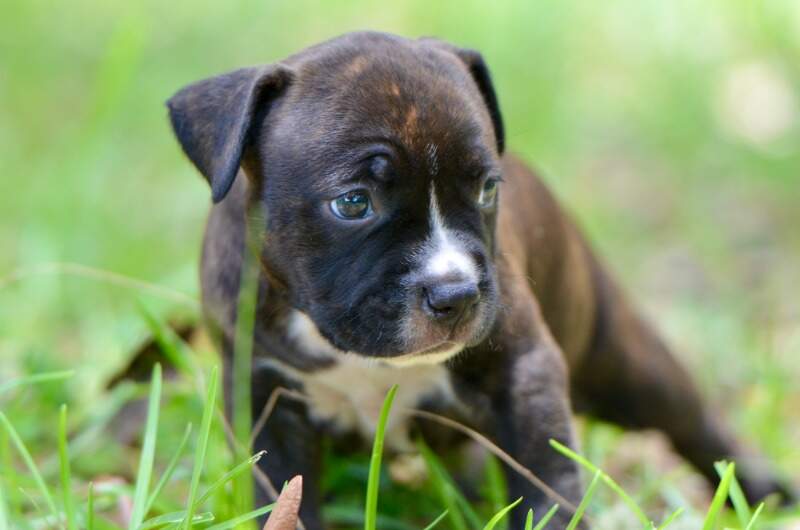 4 weeks