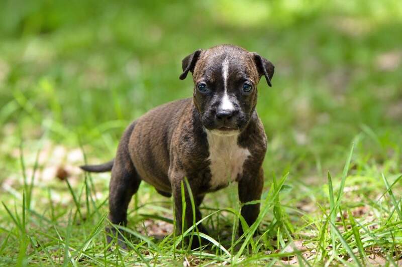 4 weeks