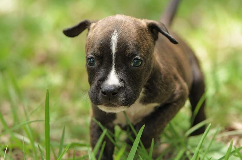 4 weeks