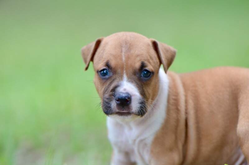 4 weeks