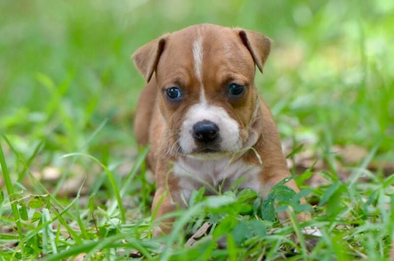 4 weeks