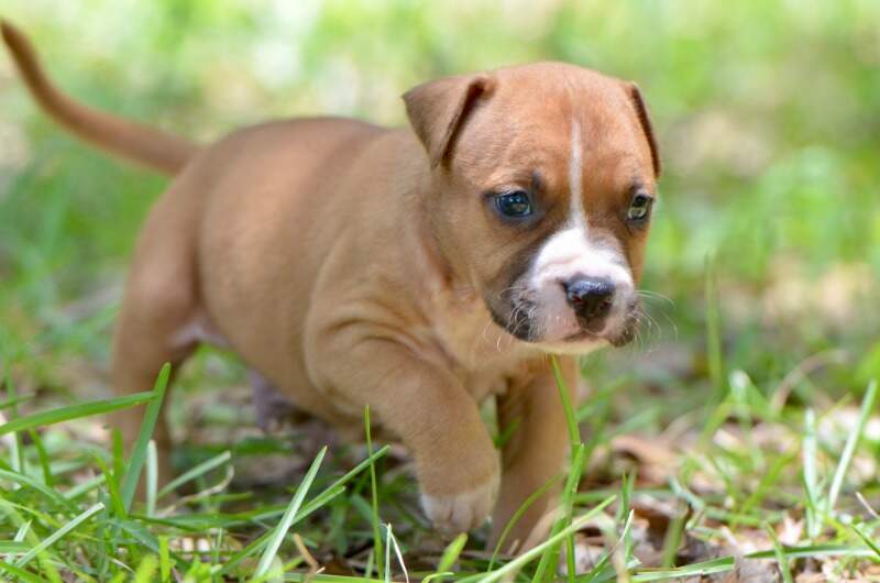 4 weeks
