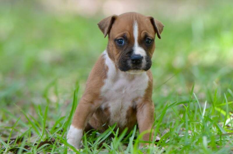 4 weeks