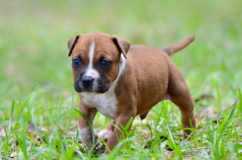 4 weeks