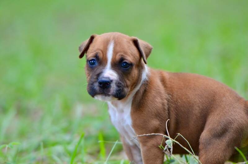 4 weeks