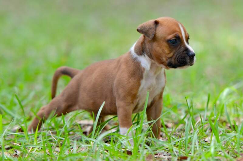 4 weeks