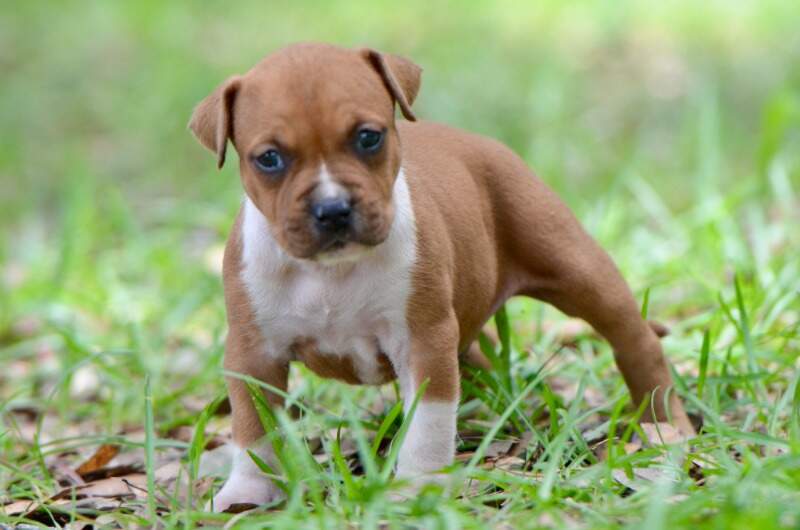 4 weeks
