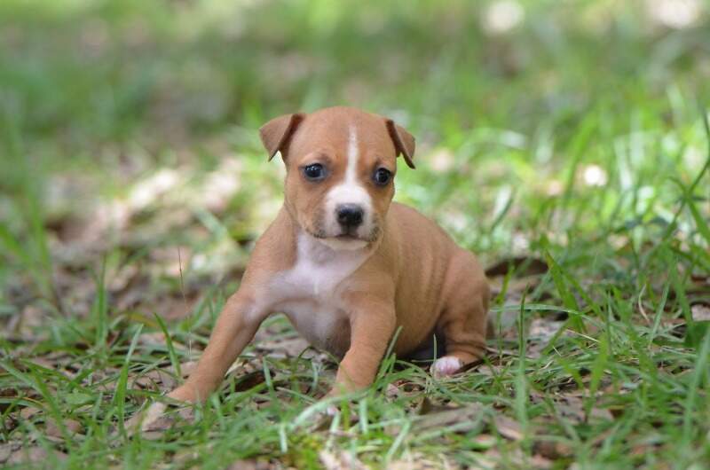 4 weeks