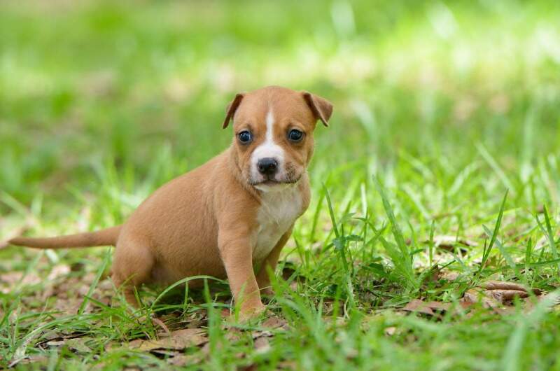 4 weeks
