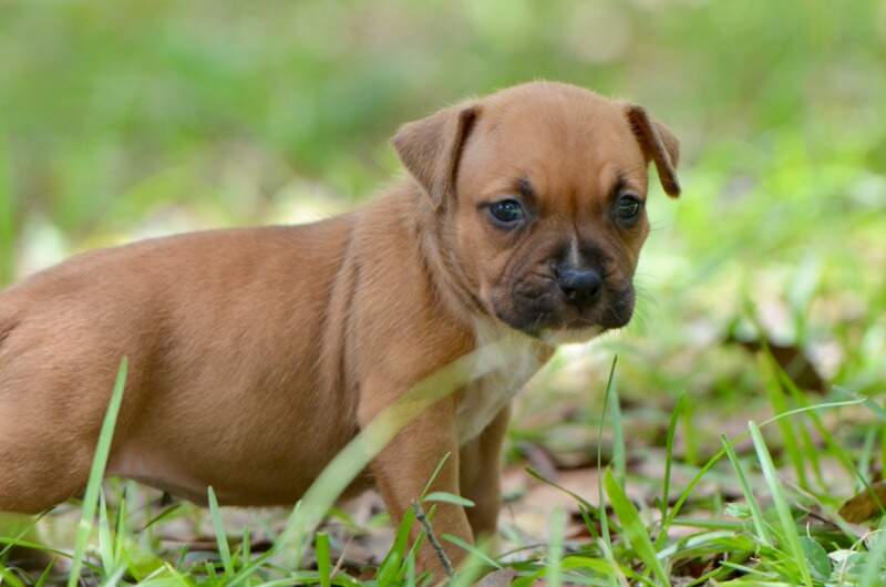 4 weeks
