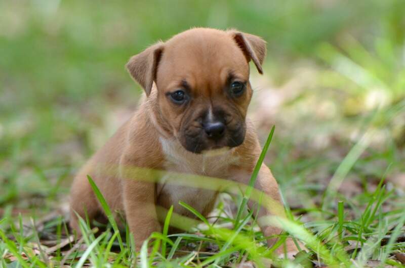 4 weeks