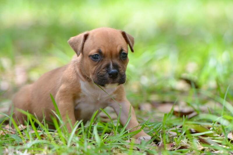 4 weeks