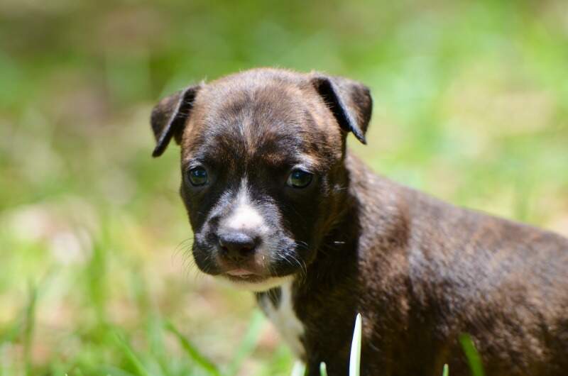 4 weeks