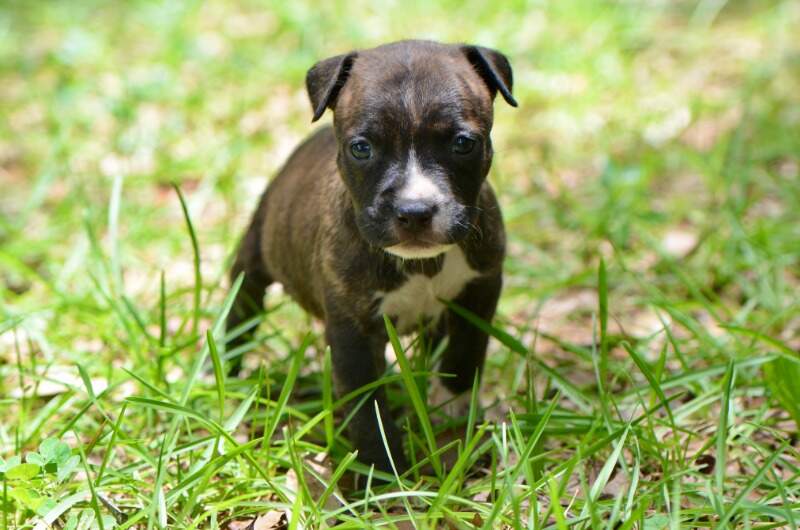 4 weeks